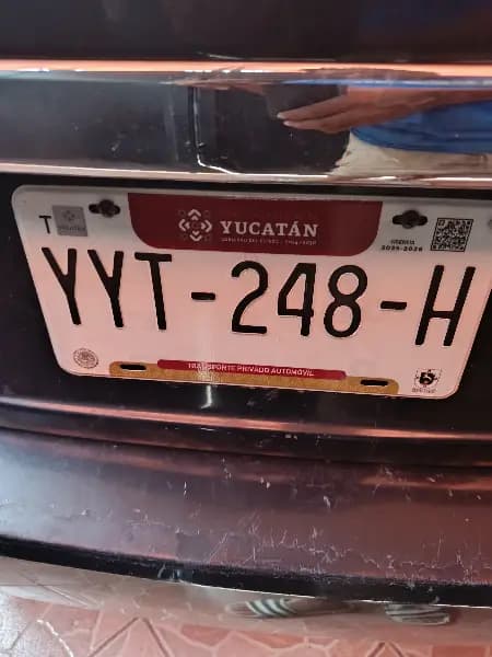 YYT-248-H